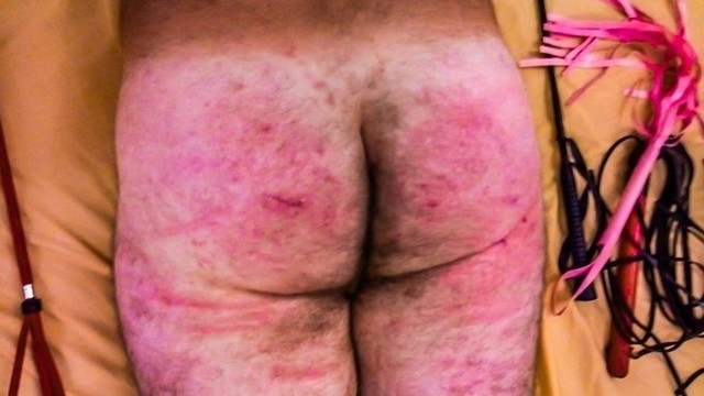 IO FRUSTATO DA VIOLA 2