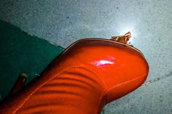 viola schiaccia il kinder bueno sotto i miei stivaloni a sue gambe